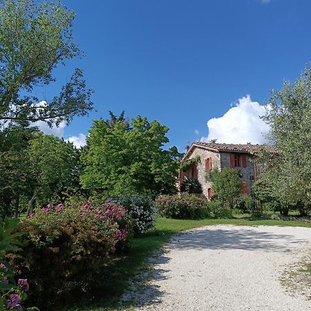 Pilgrim Rooms Gubbio Exterior foto