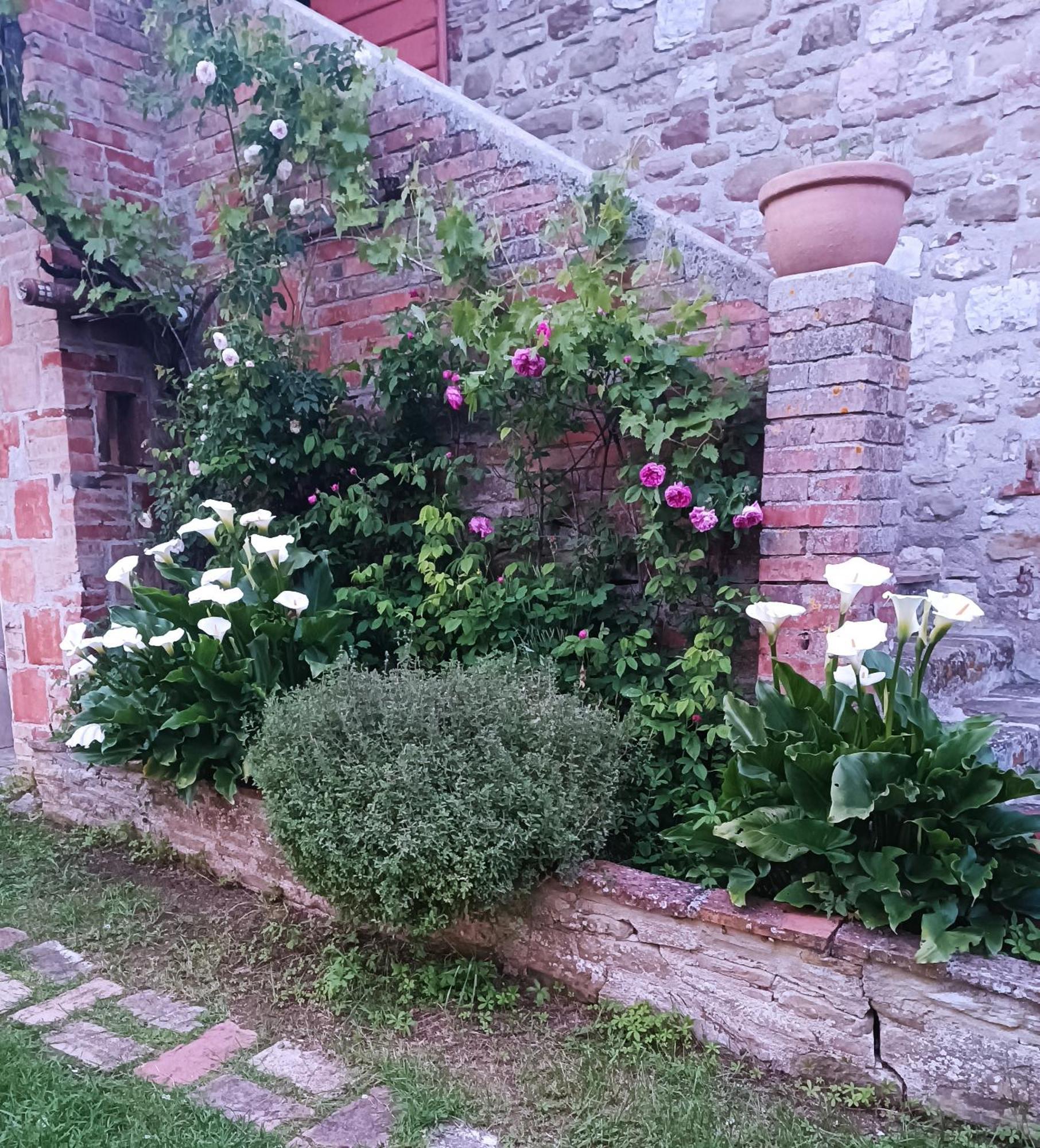 Pilgrim Rooms Gubbio Exterior foto